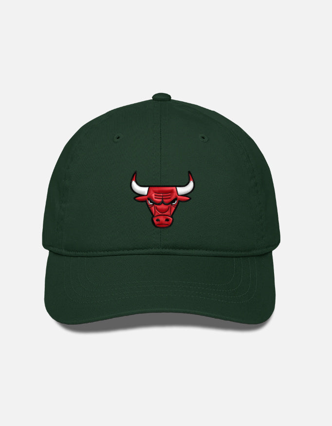 BULLS -- BaseBall Cap